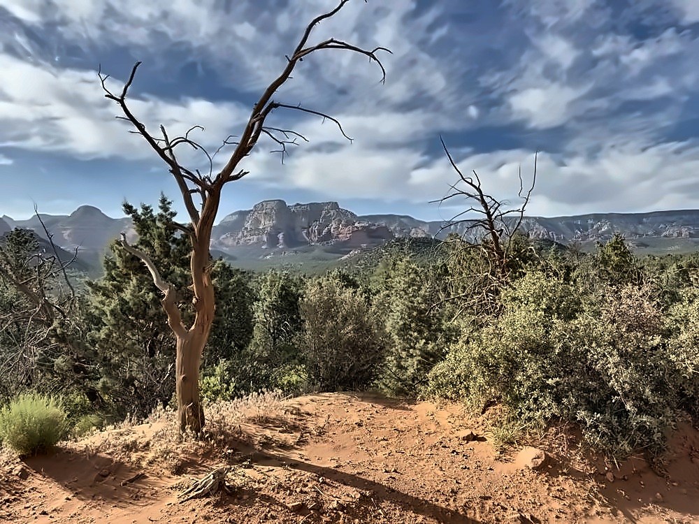 Sedona