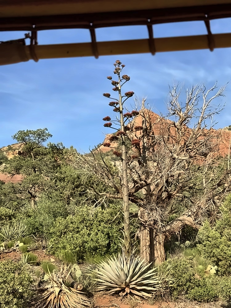 Sedona