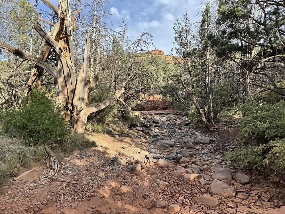 Sedona