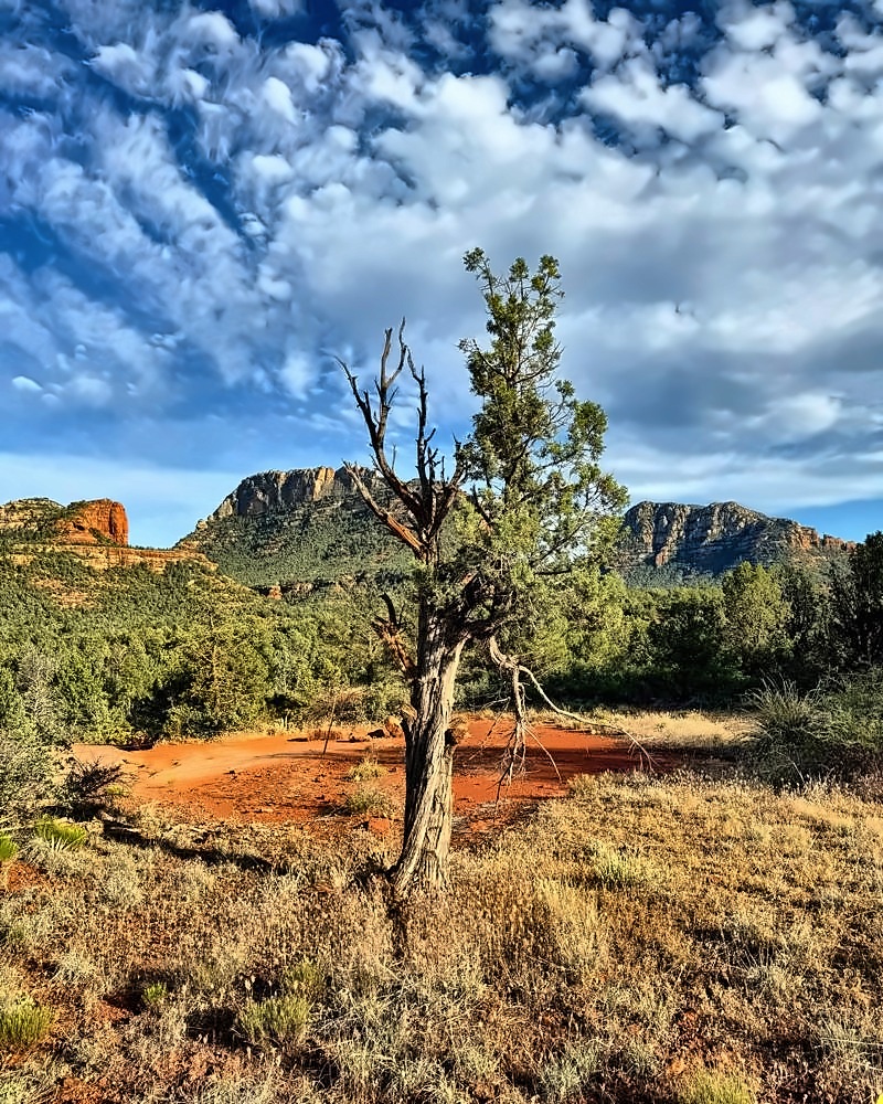 Sedona