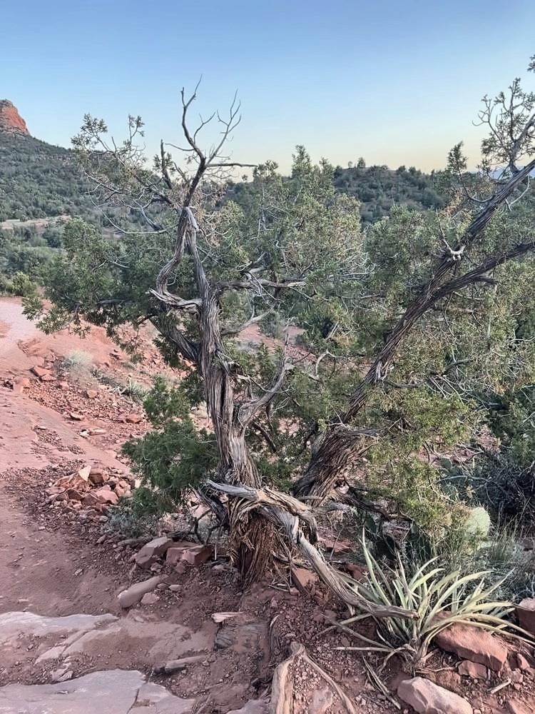 Sedona