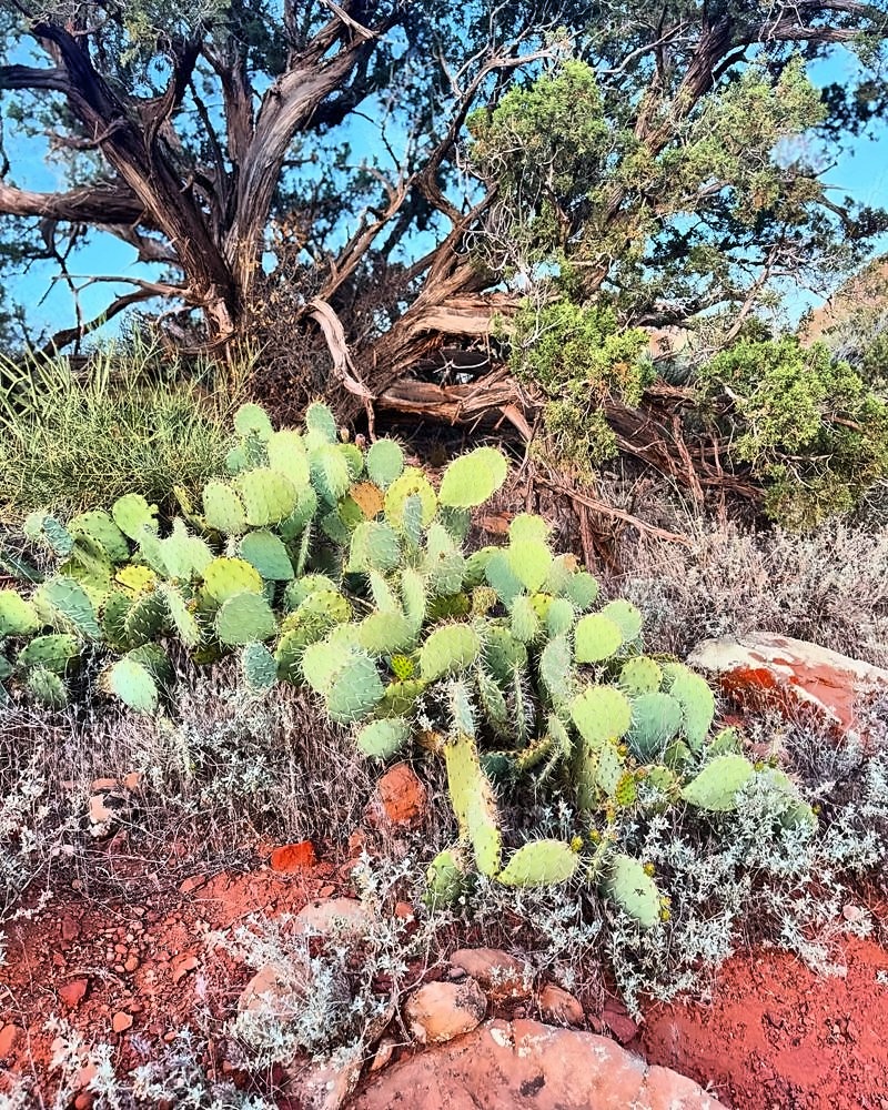 Sedona