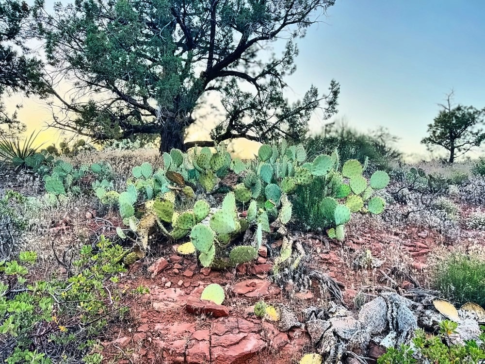 Sedona
