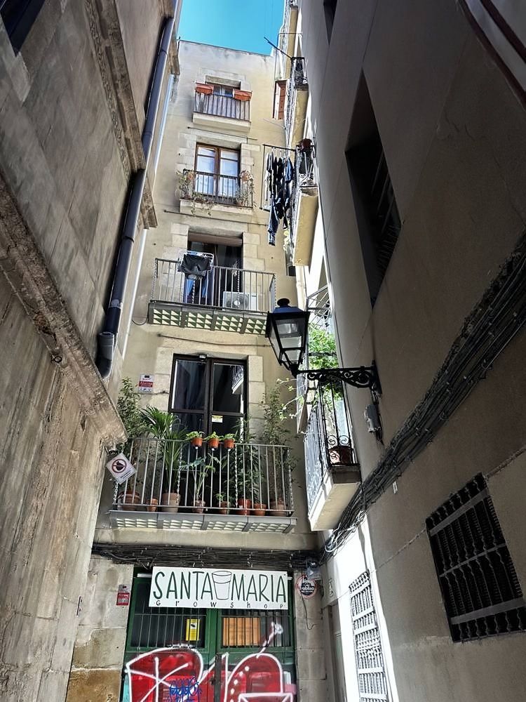 Gothic Quarter & Barcelona Cathedral