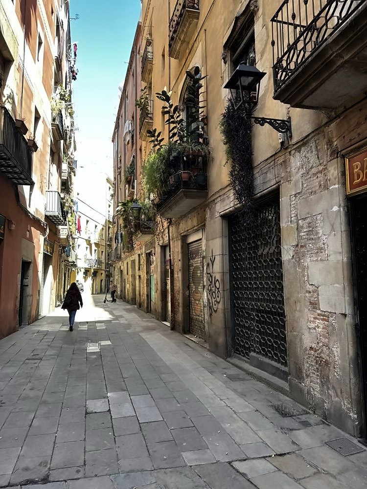 Gothic Quarter & Barcelona Cathedral