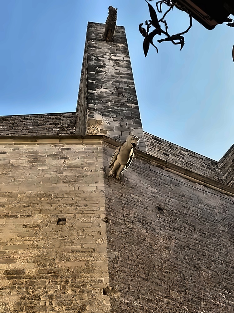 Gothic Quarter & Barcelona Cathedral