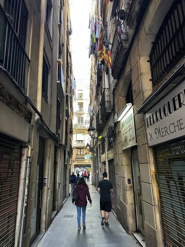 Gothic Quarter & Barcelona Cathedral