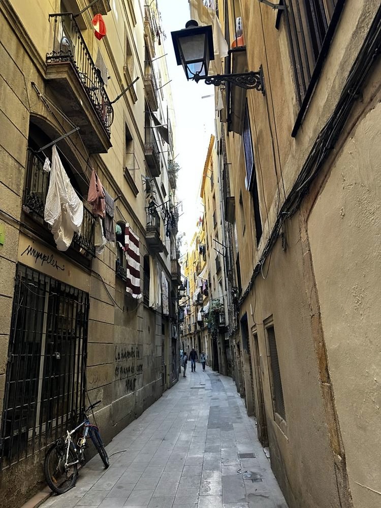 Gothic Quarter & Barcelona Cathedral