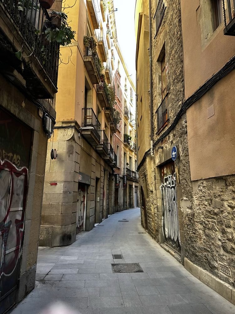 Gothic Quarter & Barcelona Cathedral