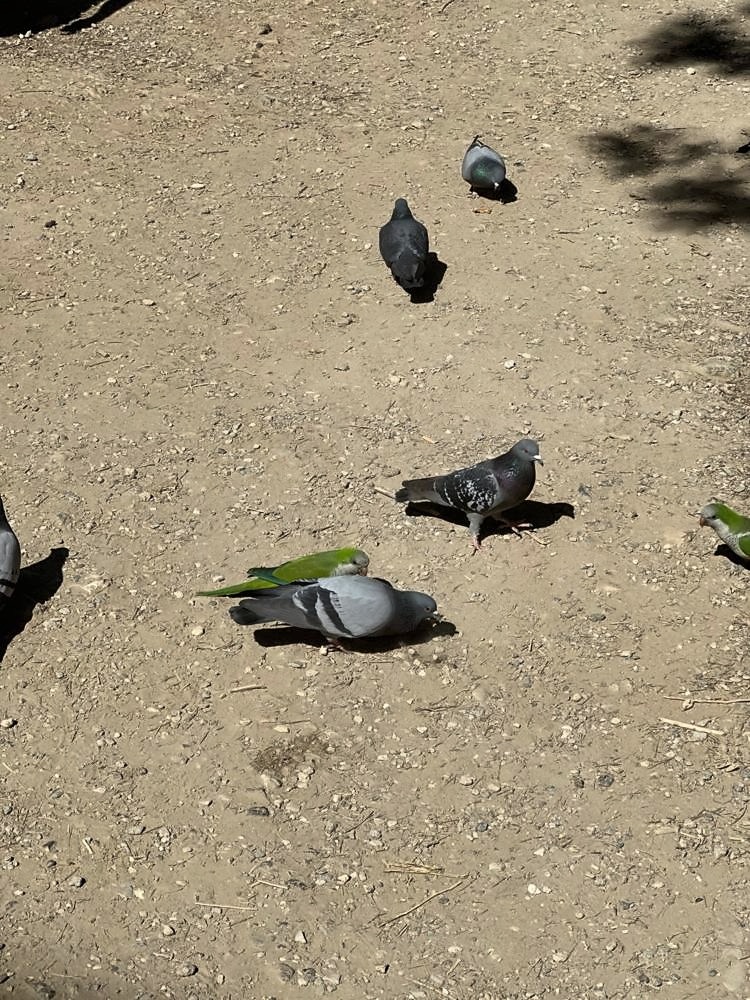 Park Güell