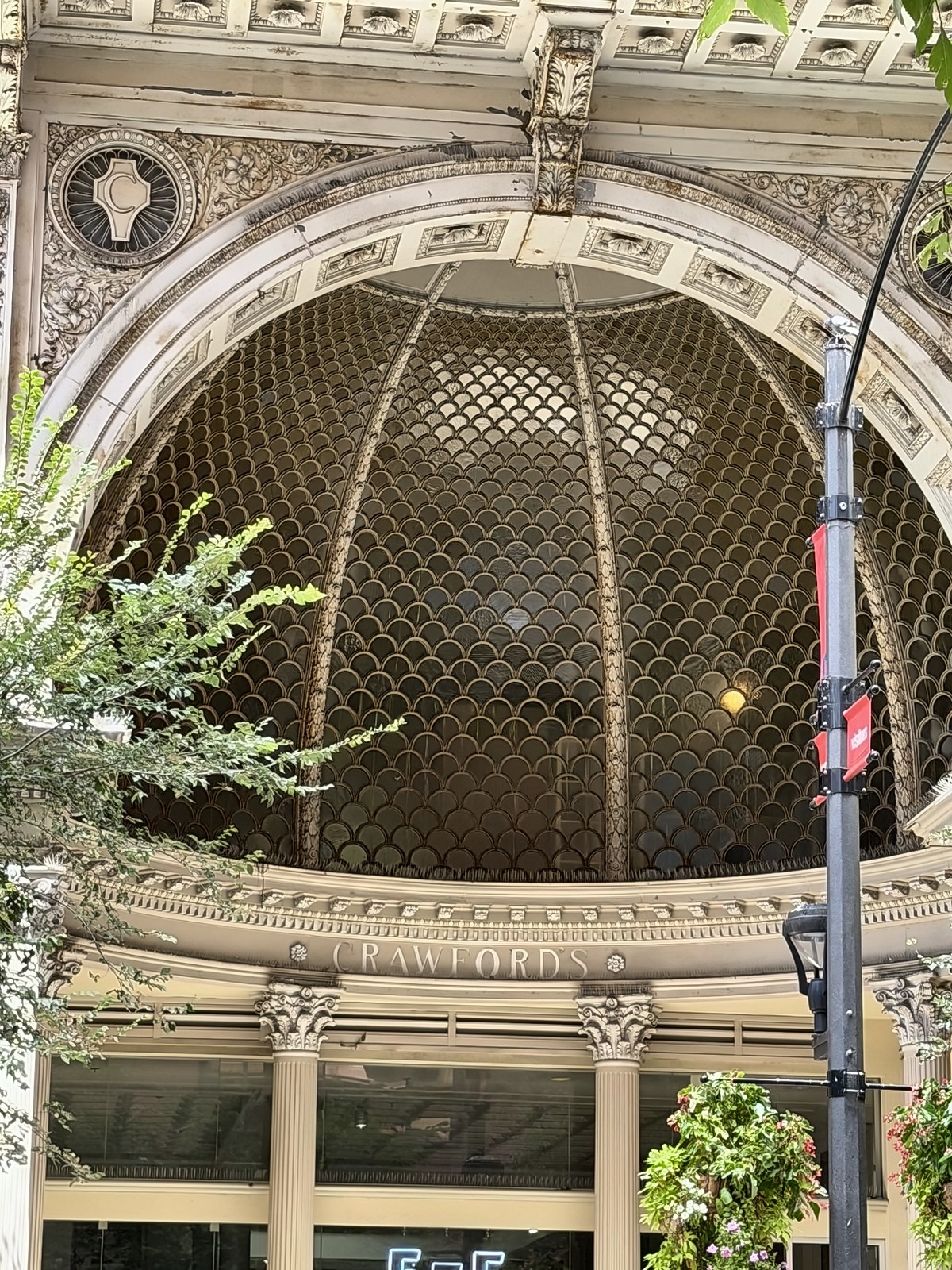 St. Louis 8