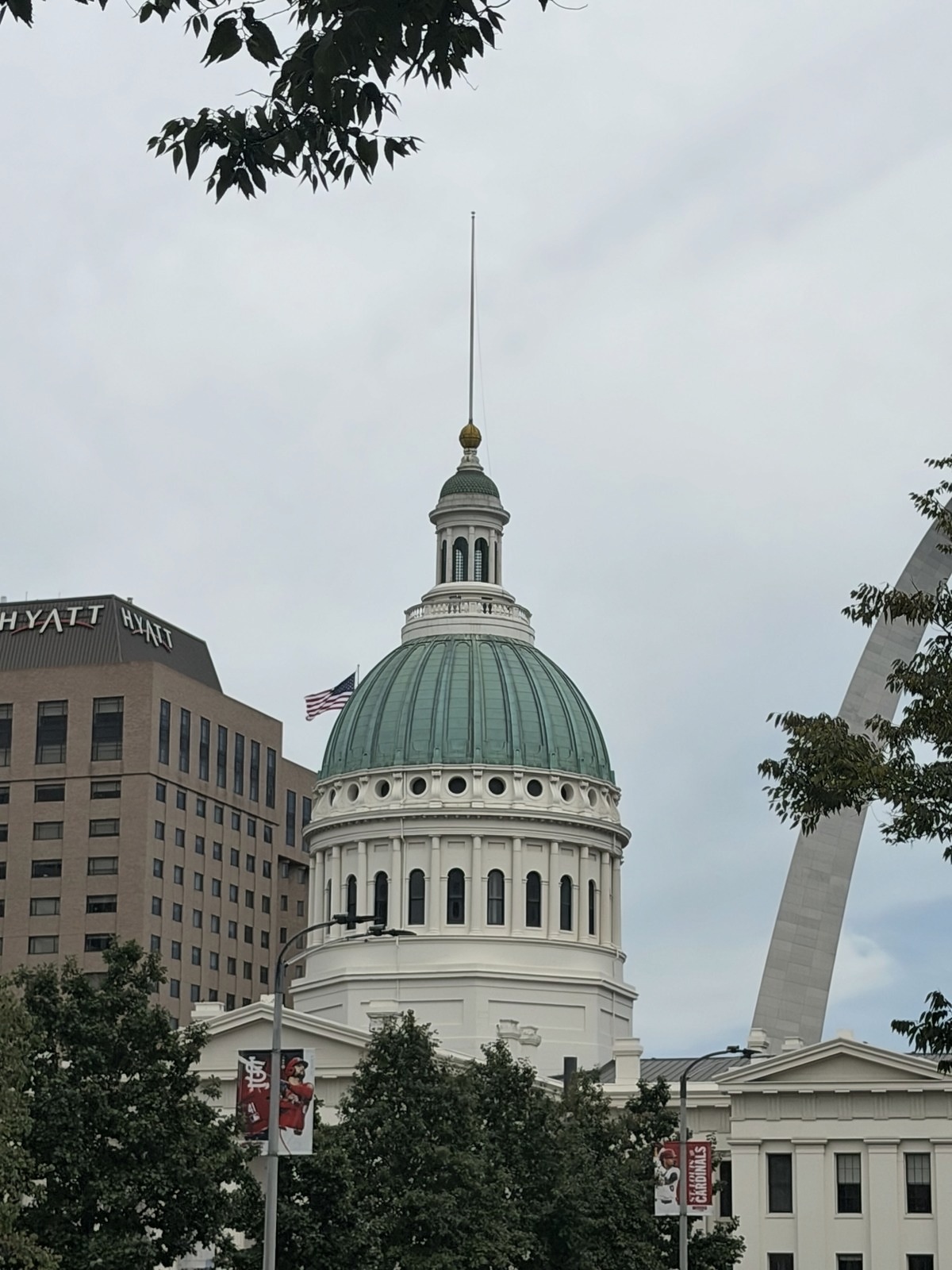 St. Louis 217