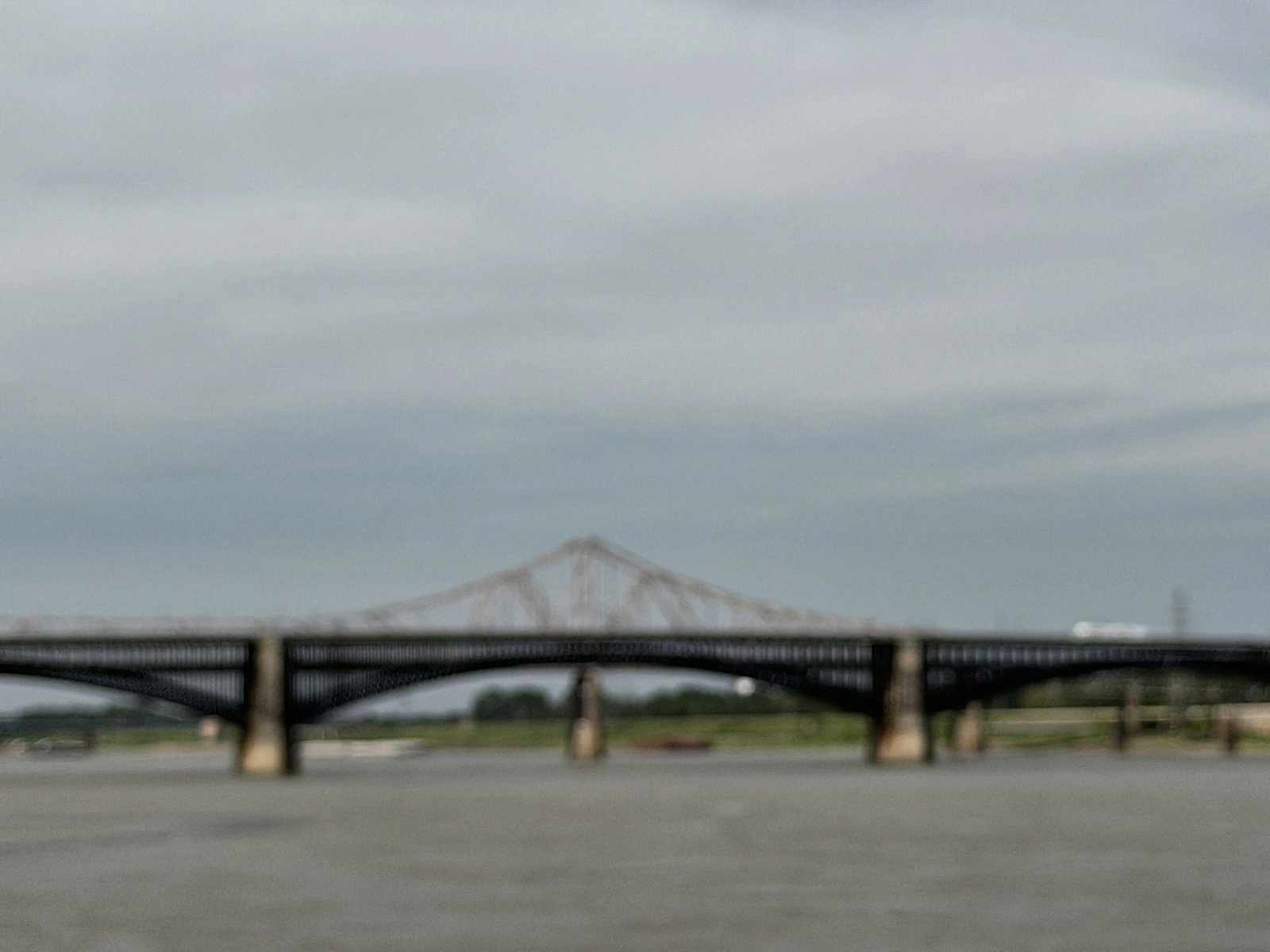 St. Louis 229