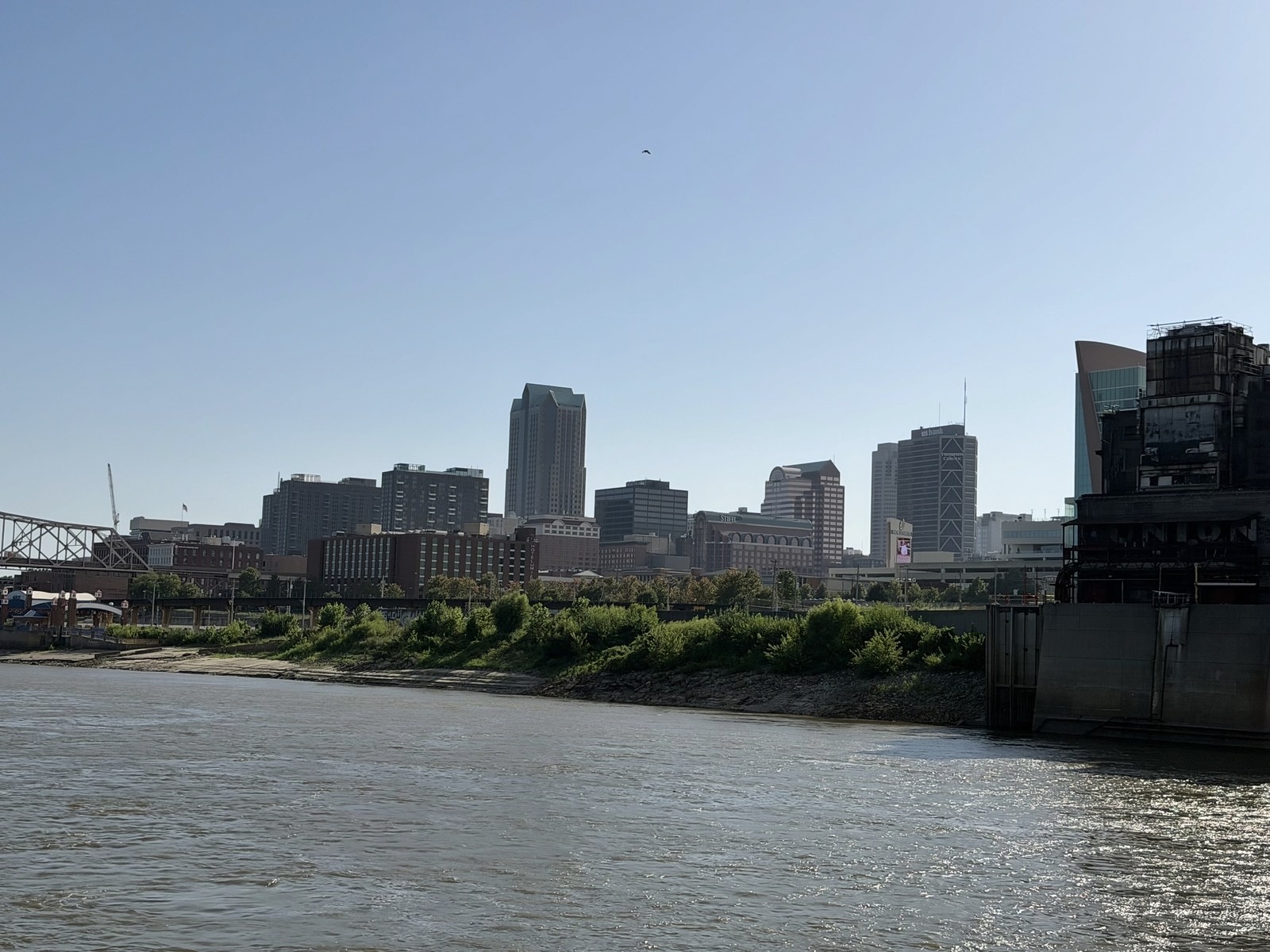 St. Louis 242