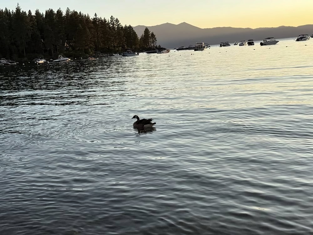Zephyr Cove & the East Shore