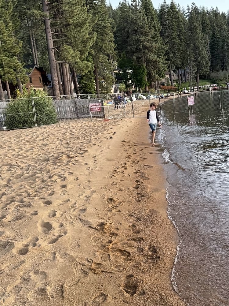 Zephyr Cove & the East Shore