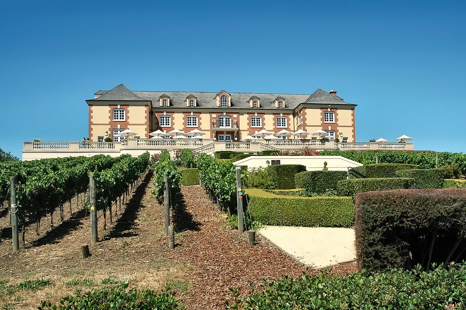 Domaine Carneros photo 4